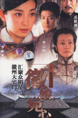 徽娘宛心第12集