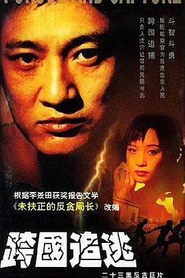 跨国追逃第03集