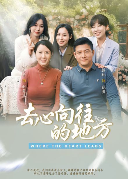 去心向往的地方第1-30集