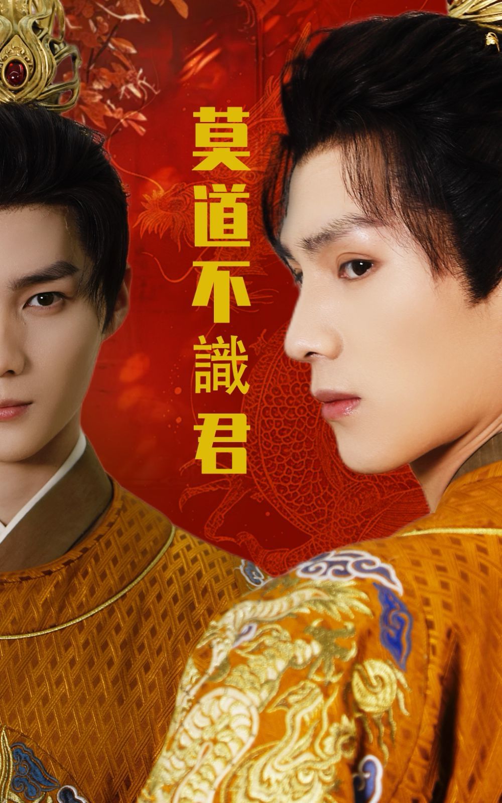 莫道不识君第31-63集完结(大结局)