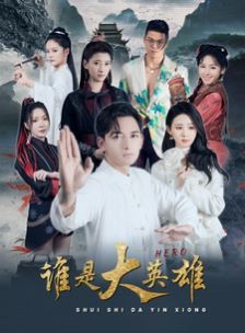 谁是大英雄第1-20集