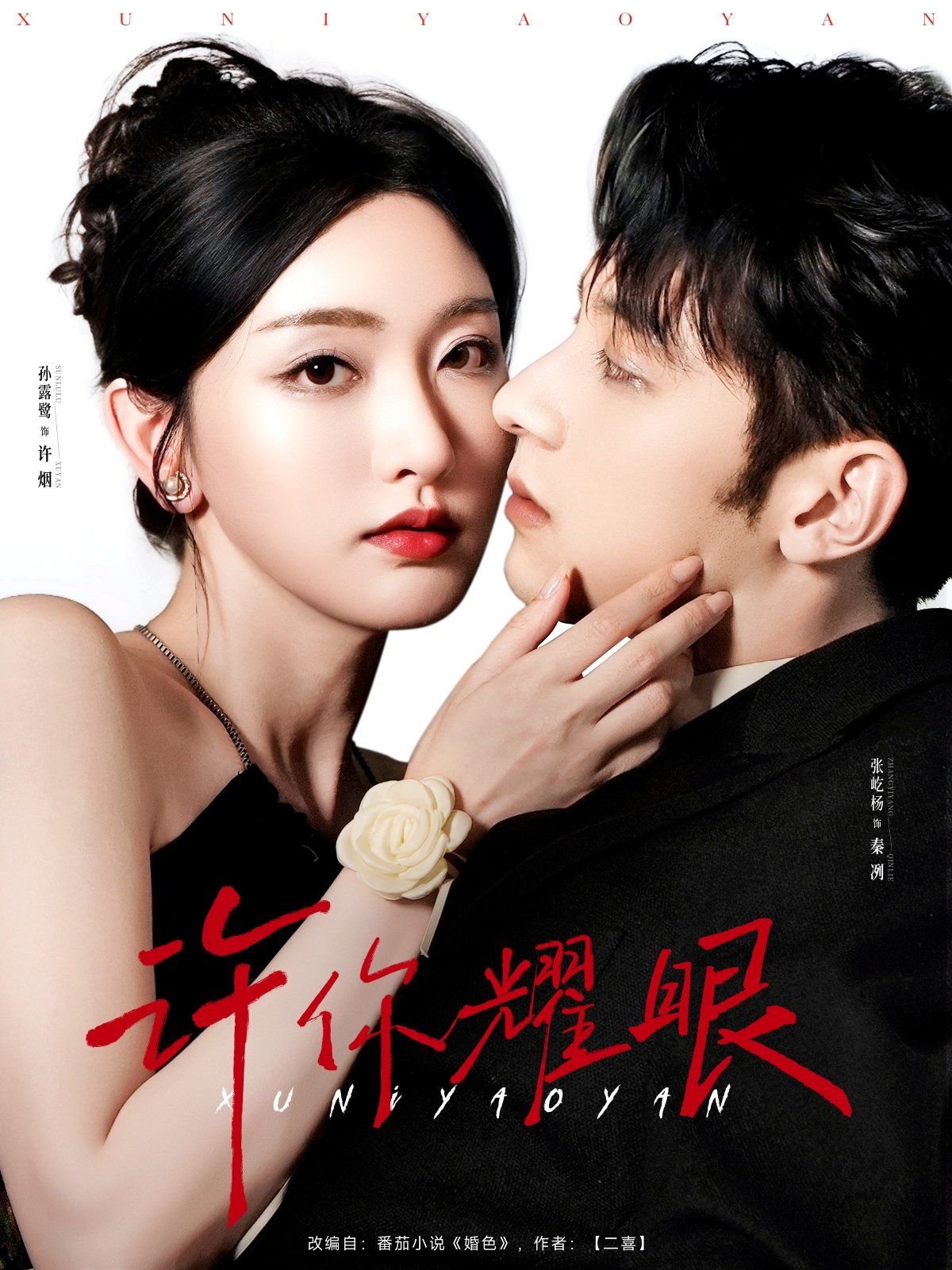 许你耀眼全集完结(大结局)