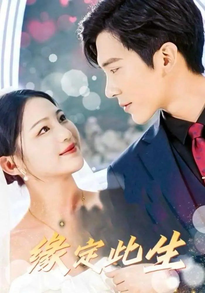 缘定此生第1-30集