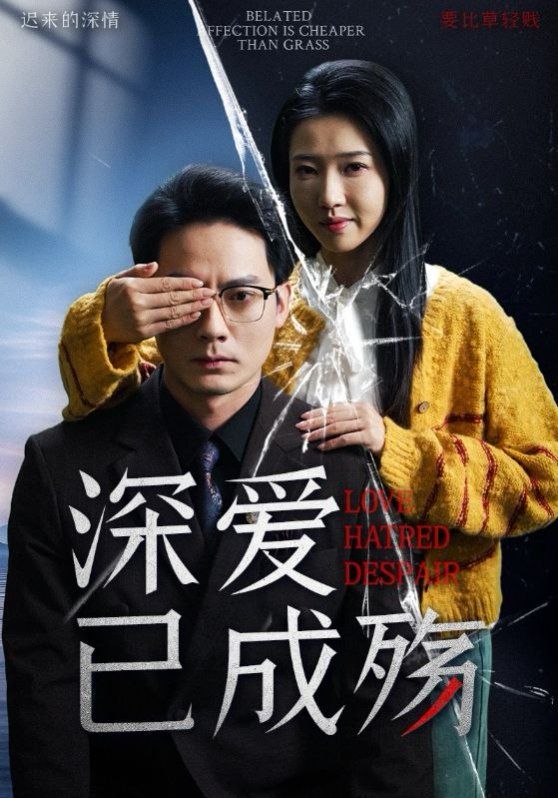 深爱已成殇第21-40集