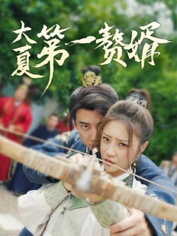 大夏第一赘婿第21-40集