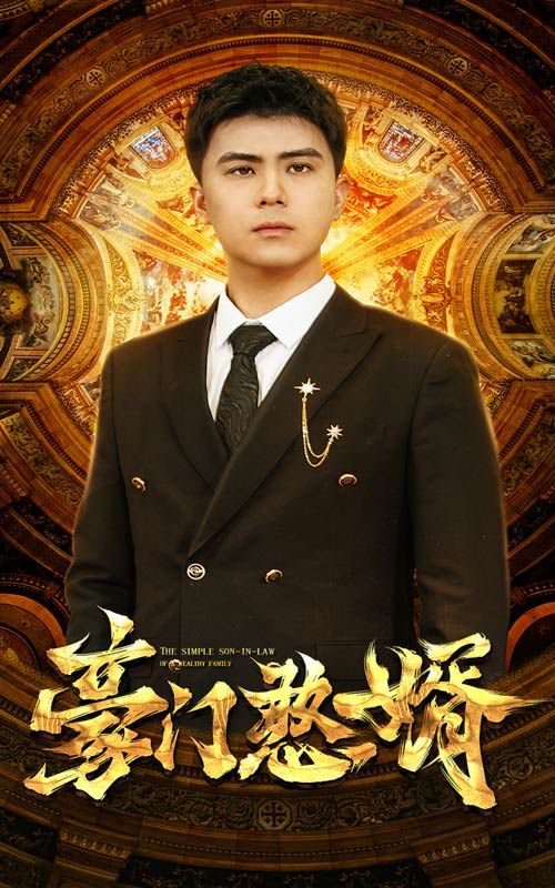 豪门憨婿第21-40集