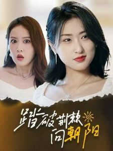 踏破荆棘向朝阳第21-40集