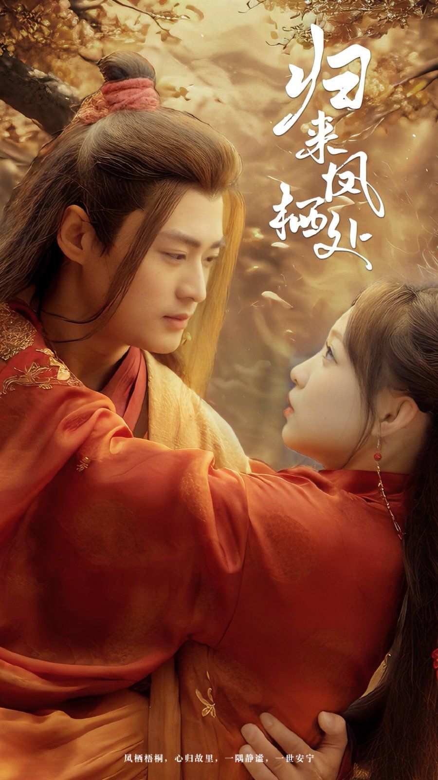 归来凤栖处第21-40集