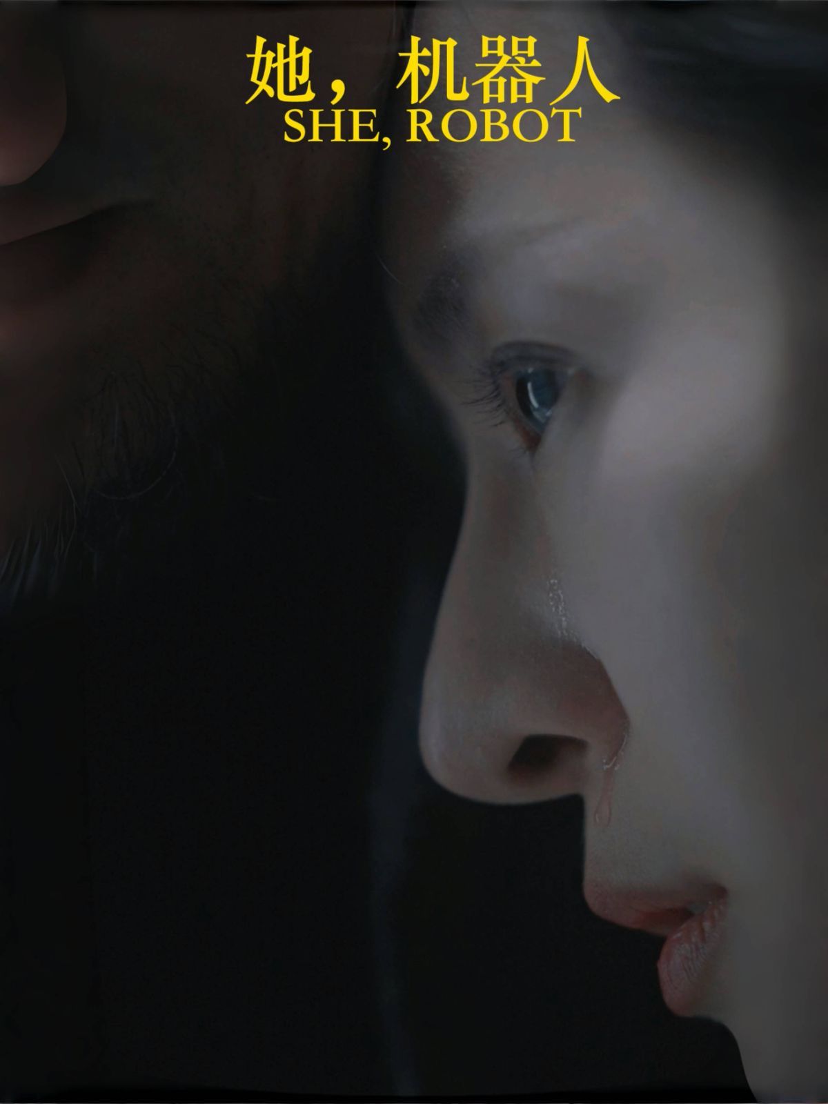 她，机器人（她机器人）全集完结(大结局)