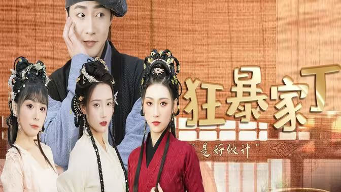 狂暴家丁第41-60集