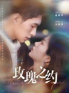 玫瑰之约第41-60集