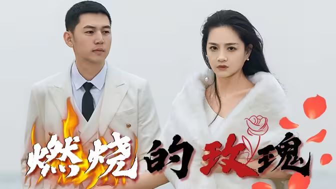 燃烧的玫瑰第1-30集