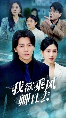 我欲乘风卿且去第21-40集