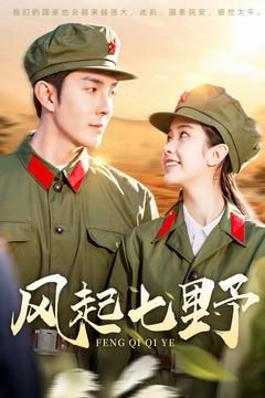 风起七野第21-40集