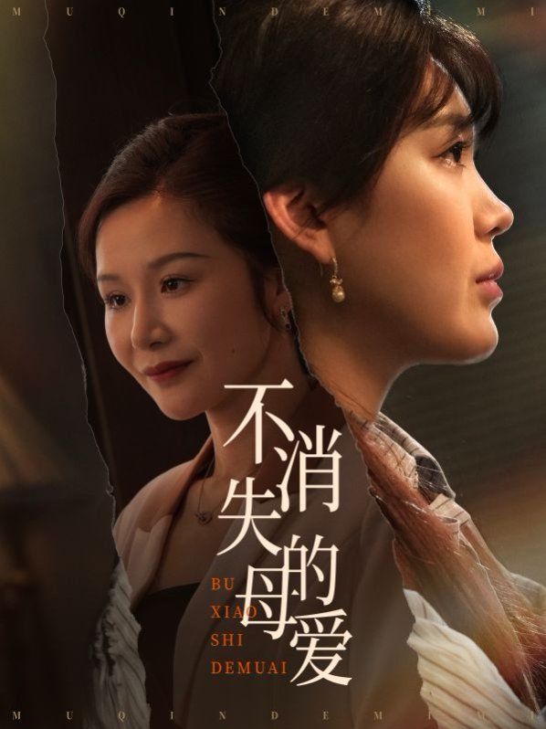 不消失的母爱第21-40集