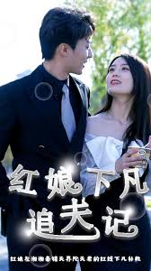 红娘下凡追夫记全集(大结局)