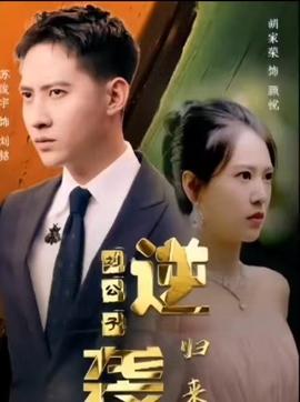 逆袭刘公子归来全集(大结局)